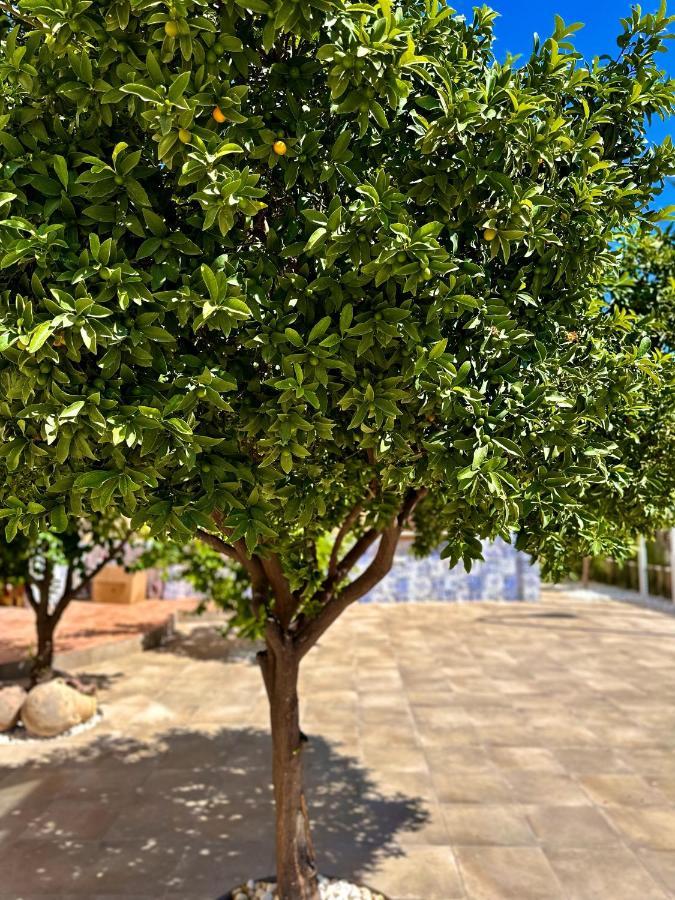 Libelle Andalusian Hideaway C Villa Granada Bagian luar foto